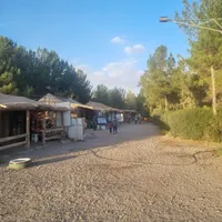 چاه عمیق دربست و ۱۰۰ هکتار زمین کشاورزی|فروش دفتر صنعتی، کشاورزی، تجاری|مشهد, ابوذر|دیوار