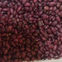 حبوبات ایرانی|خوردنی و آشامیدنی|تهران, مسعودیه|دیوار