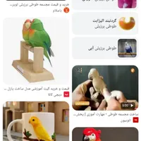 مجسمه طوطی سرحال معاوضه
