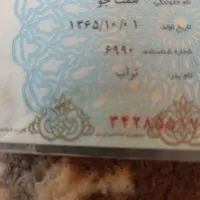 کارت ملی گمشده بنام همت جو