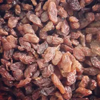 خانه‌کشمش وعسل شهرکرد