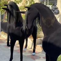 مجسمه تندیس آبنما اسب فایبرگلاس حوض نیمکت بتنی|فروشگاه و مغازه|تهران, شهرک دانشگاه تهران|دیوار