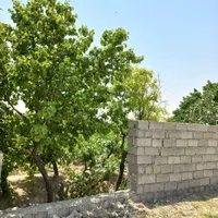 زمین باغی باغچه چهاردیواری/سنددار/اقساطی|فروش زمین و ملک کلنگی|تهران, امیریه|دیوار