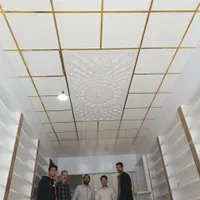 سقف کاذب سعید با و سرعت بالا نصب میشه