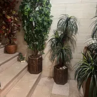 درختچه مصنوعی|گل مصنوعی|تهران, امامزاده حسن(ع)|دیوار