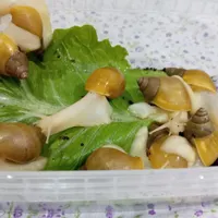 حلزون