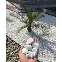 سنگ قلوه سفید سایز گردویی