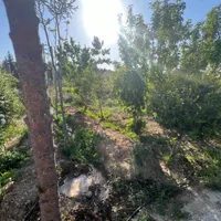 باغچه ۵۰۰متری/زرنان پایین/با درختان مثمر وباصفا|فروش زمین و ملک کلنگی|تهران, سعیدآباد|دیوار