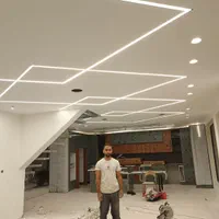 لاین نوری ، لاینر ، نور خطی ، برقکار ، برق کار