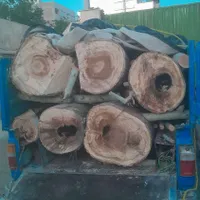 خرید چوب تر و خشک
