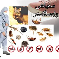 سم‌پاشی *تخصصی* موش و سمپاشی سوسک کک پشه ساس