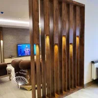 پارتیشن  امروزی