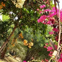 اجاره ویلا باغ استخردار ایسین و محدوده