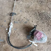 چمن زن 4زمانه هوندا پشتی