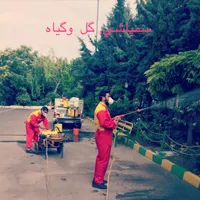 سمپاشی تخصصی و کنترل آفات و ضدعفونی|خدمات نظافت|تهران, سیدخندان|دیوار