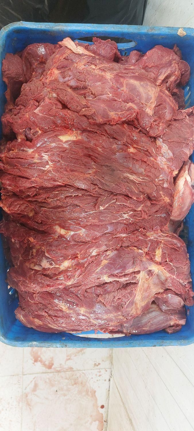 پخش گوشت گوساله کل تهران|خوردنی و آشامیدنی|تهران, بهمن یار|دیوار