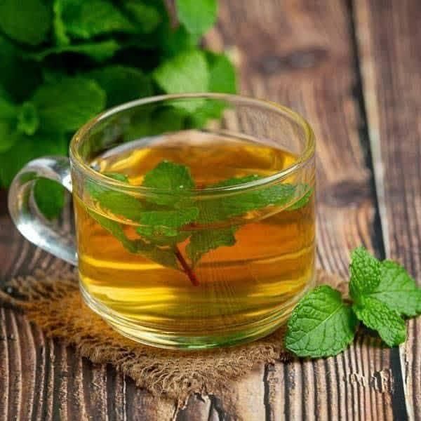 خونتون محل کارتون کن با گوشی  مختص خانم|استخدام بازاریابی و فروش|رشت, آزادگان|دیوار