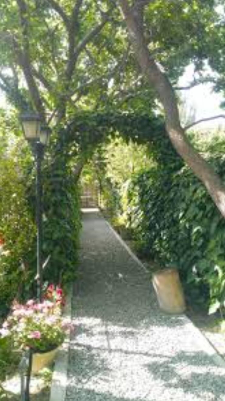 محوطه سازی باغ، آب نما|گل و گیاه طبیعی|شیراز, معالی‌آباد|دیوار