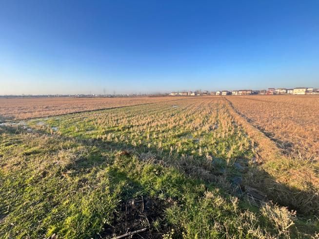 فروش زمین ۲۰۷۵ متری در روستای کوه بنه لاهیجان|فروش زمین و ملک کلنگی|لاهیجان, |دیوار