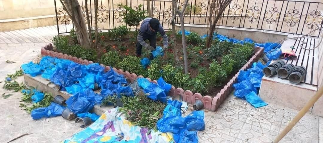 خدمات باغبانی باغچه کاری گلکاری چمن کاری خاک گلدان|خدمات باغبانی و درختکاری|تهران, نیاوران|دیوار