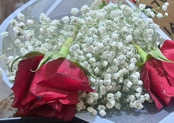 کادر دبستان دخترانه از آموزگار تا نیروی خدماتی|استخدام آموزشی|تهران, یاخچی‌آباد|دیوار