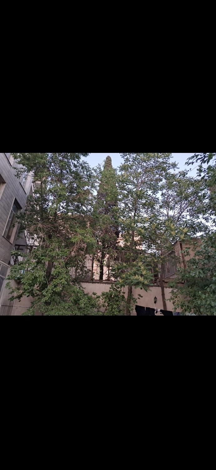 اجاره خوابگاه دخترانه|اجارهٔ کوتاه‌مدت آپارتمان و سوئیت|تهران, ایرانشهر|دیوار