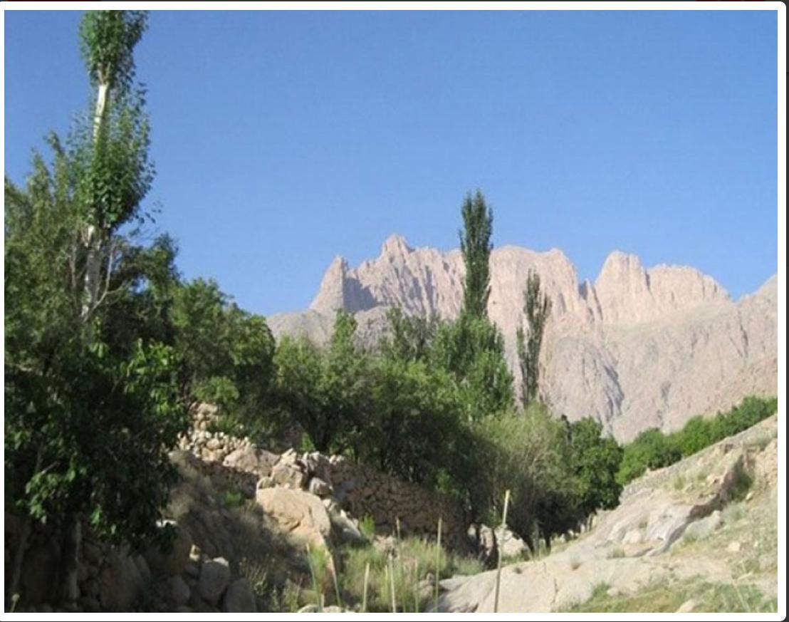 زمین ده بالا و طزرجان معاوضه با اردکان|فروش زمین و ملک کلنگی|اردکان, |دیوار