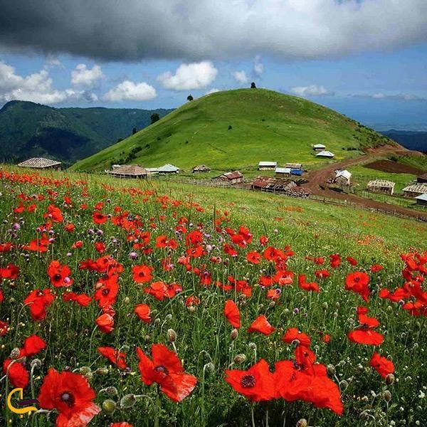 تور ۲/۵ روزه سوباتان تا مریان|تور و چارتر|تهران, چیتگر|دیوار
