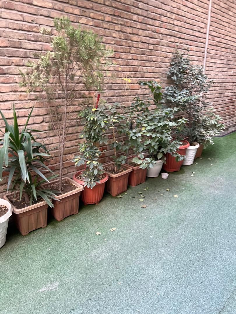 مسکونی|فروش آپارتمان|تهران, فردوسی|دیوار
