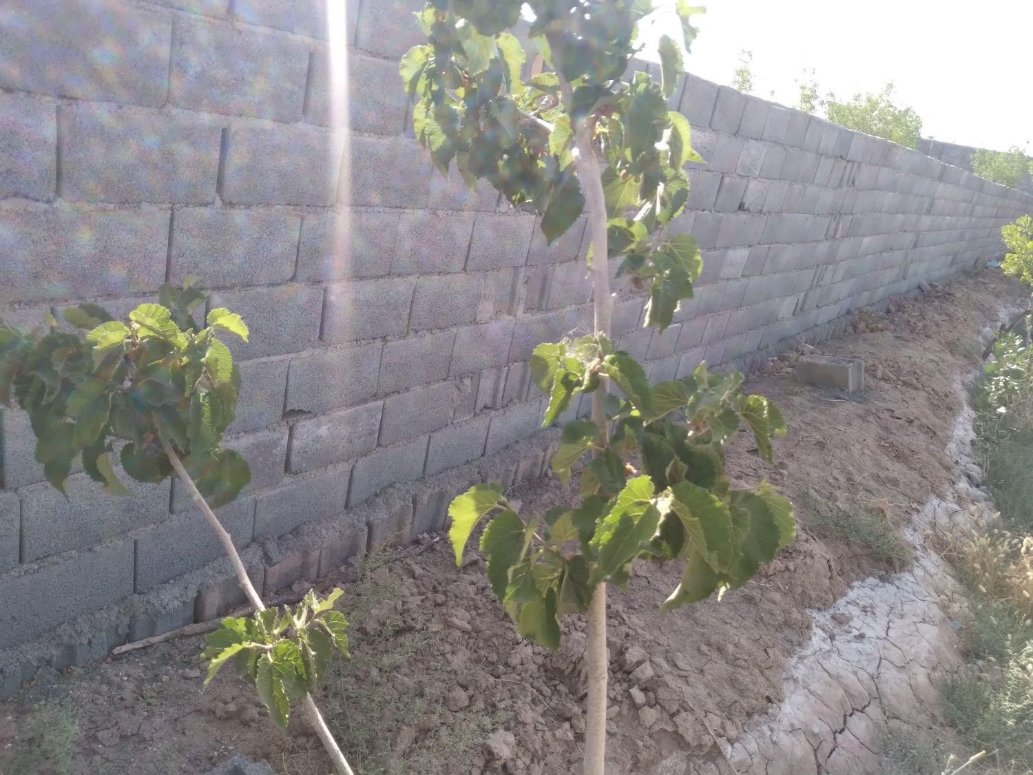 تصویر 14