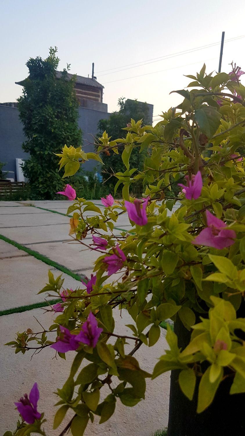 دعوت به همکاری مجموعه باغ|مشارکت در ساخت املاک|داراب, |دیوار