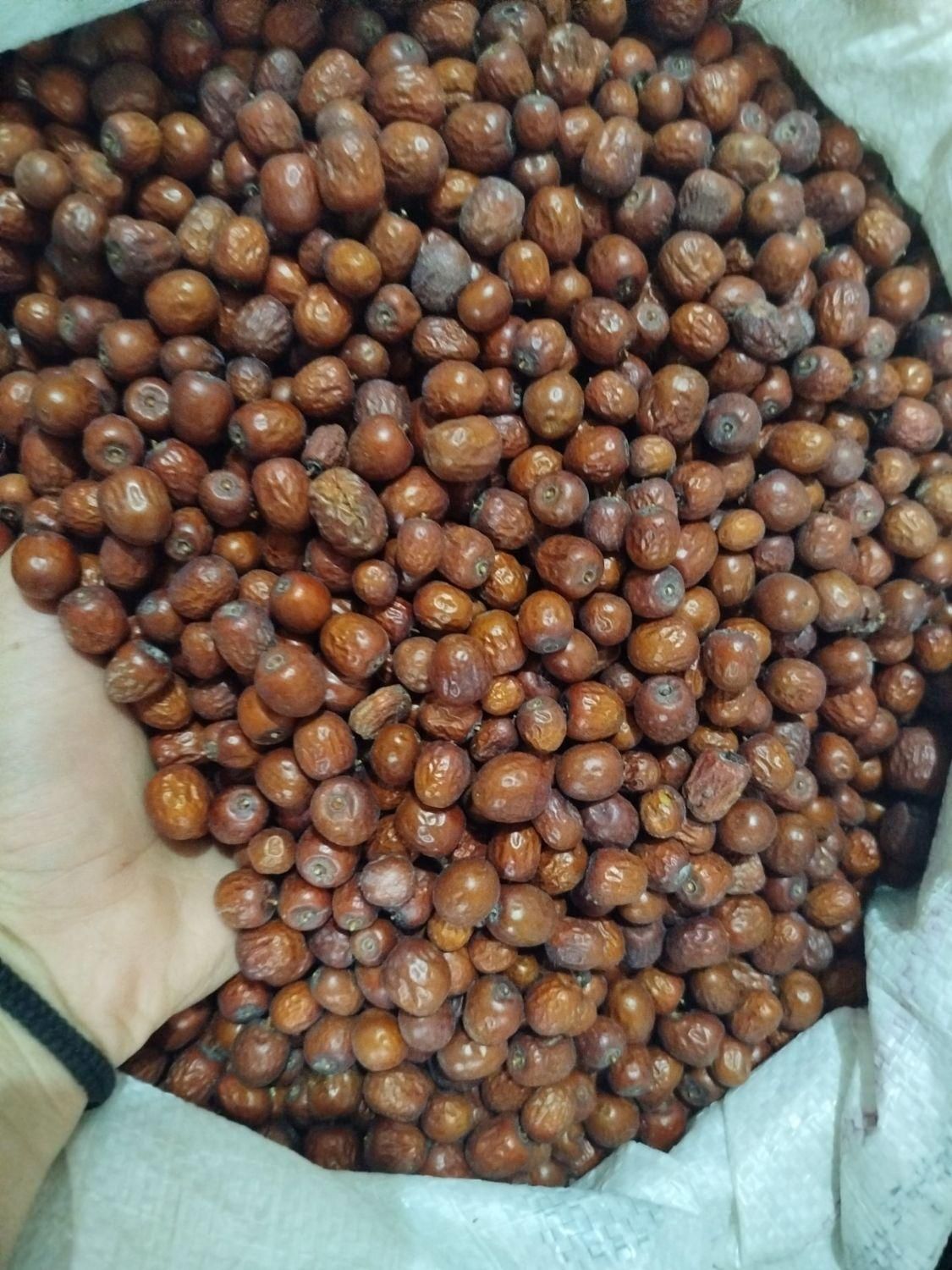 عناب|خوردنی و آشامیدنی|تهران, آبشار|دیوار