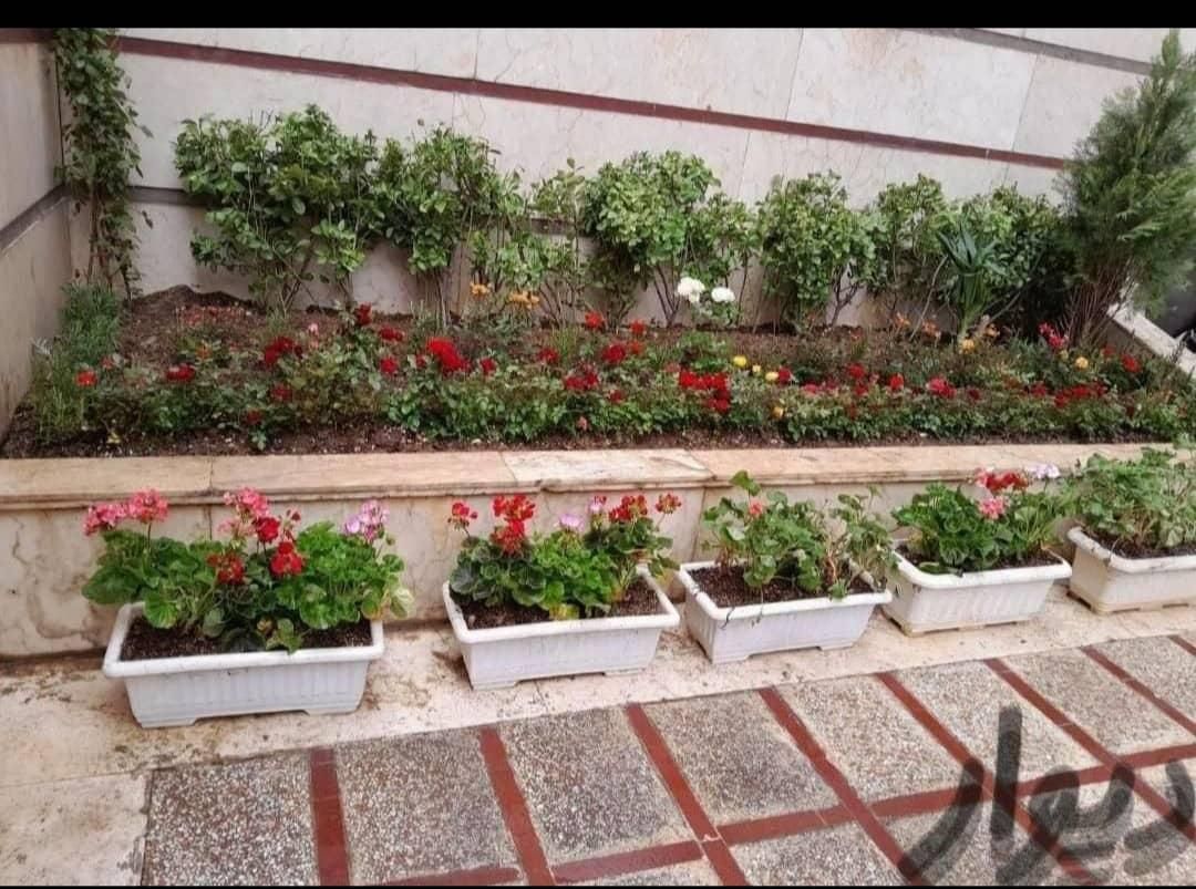 فروش گل خدمات کاشت گل باغبانی|خدمات باغبانی و درختکاری|تهران, نواب|دیوار