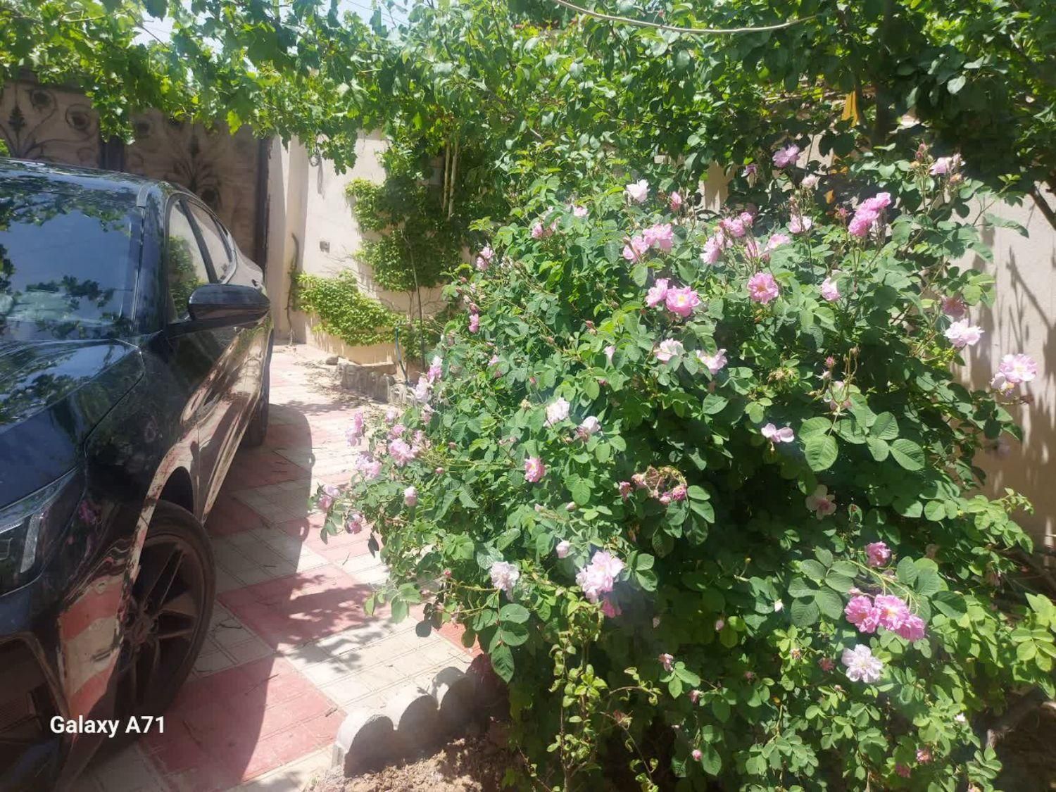 خانه باغچه ویلا  مزرعه نو|فروش خانه و ویلا|تهران, فردوسی|دیوار