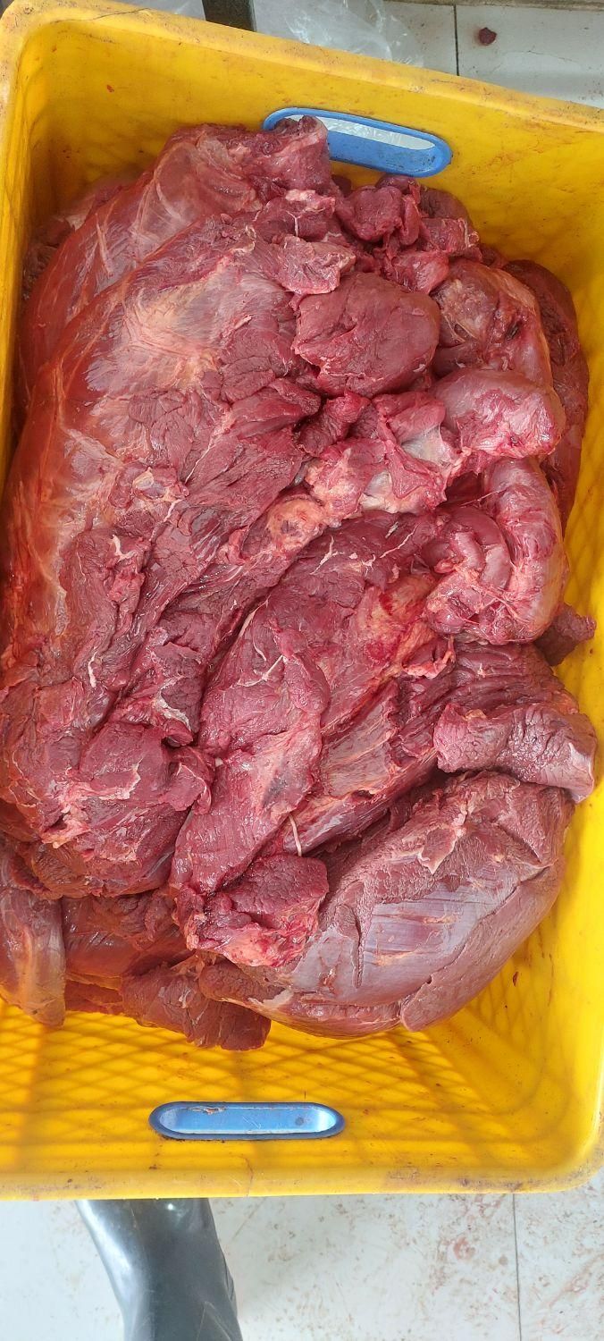 پخش گوشت گوساله کل تهران|خوردنی و آشامیدنی|تهران, بهمن یار|دیوار
