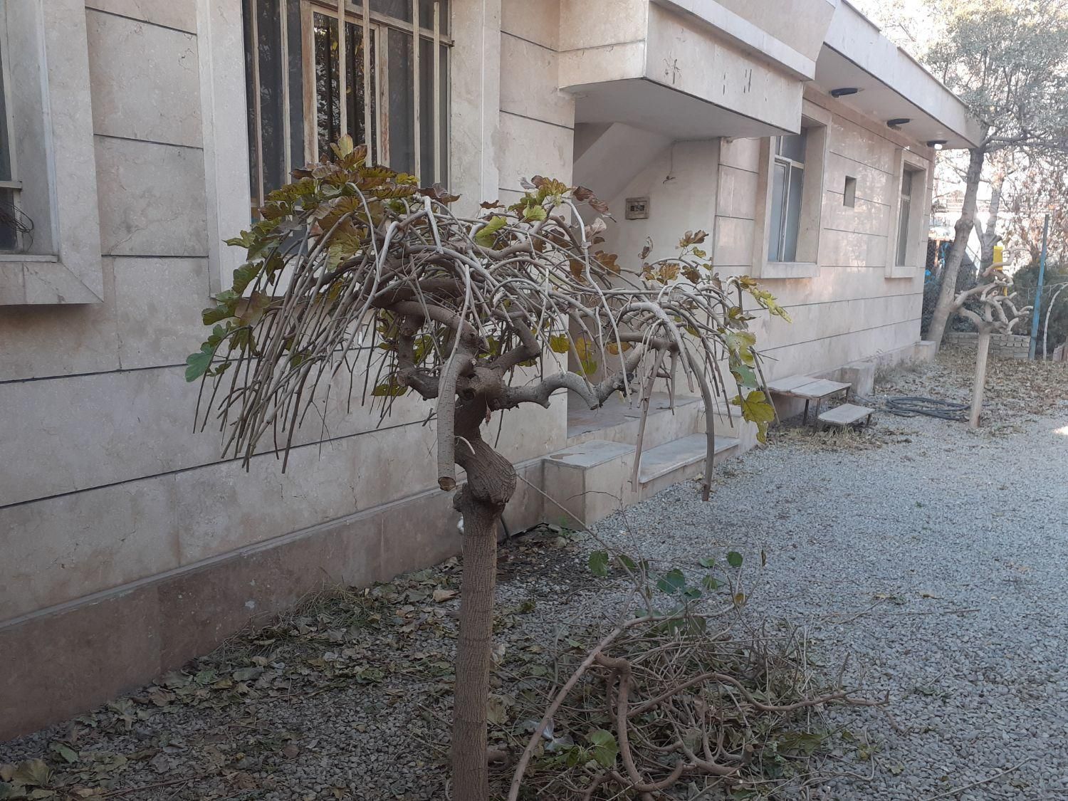 ۵۰۰متر زمین ،۱۶۰متربناشهرک مرتضی گرد|اجارهٔ خانه و ویلا|تهران, کریم‌آباد|دیوار