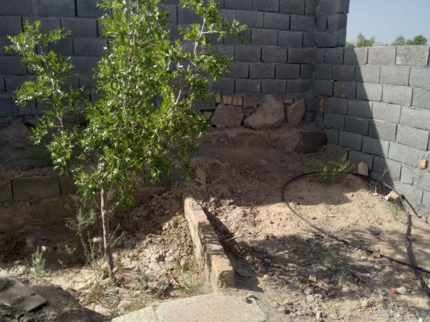تصویر 3