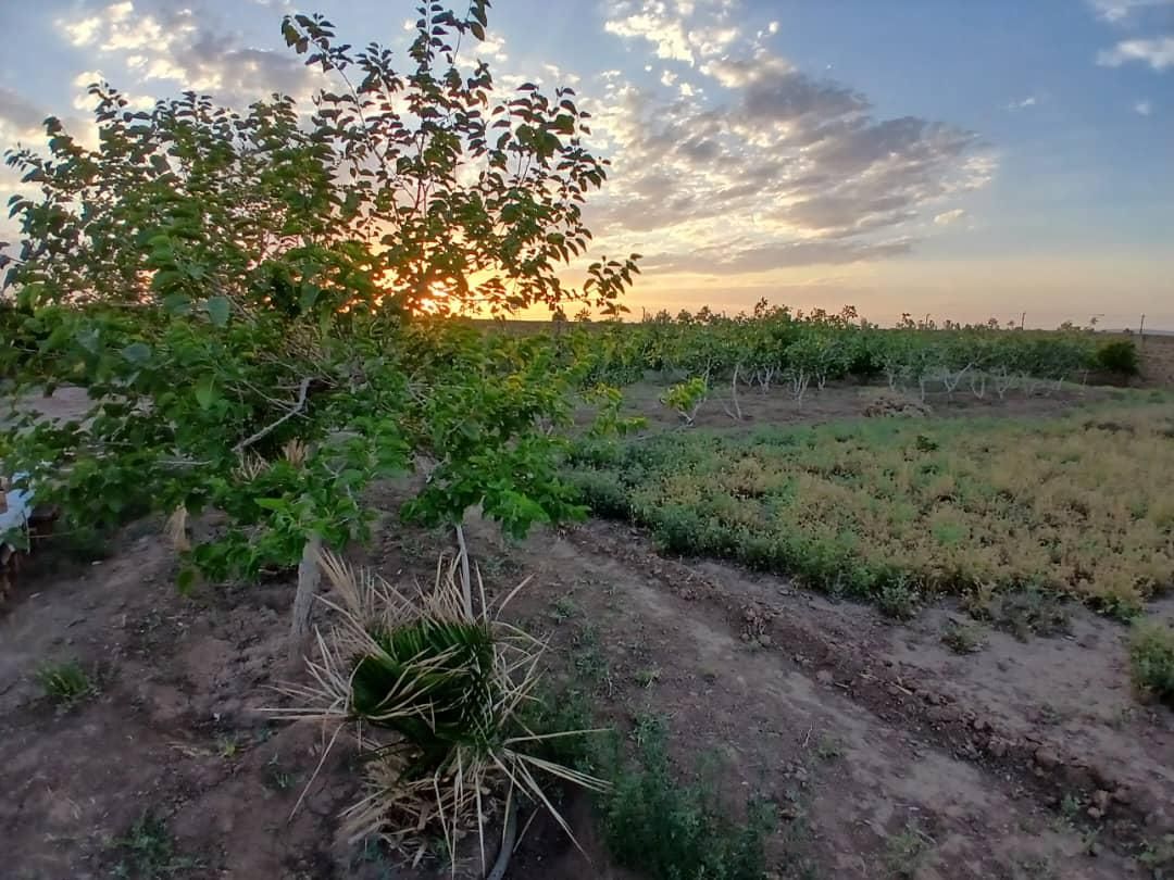 فروش زمین  و باغ ۲۲۱۸ متری در البرز|فروش زمین و ملک کلنگی|تهران, آذری|دیوار