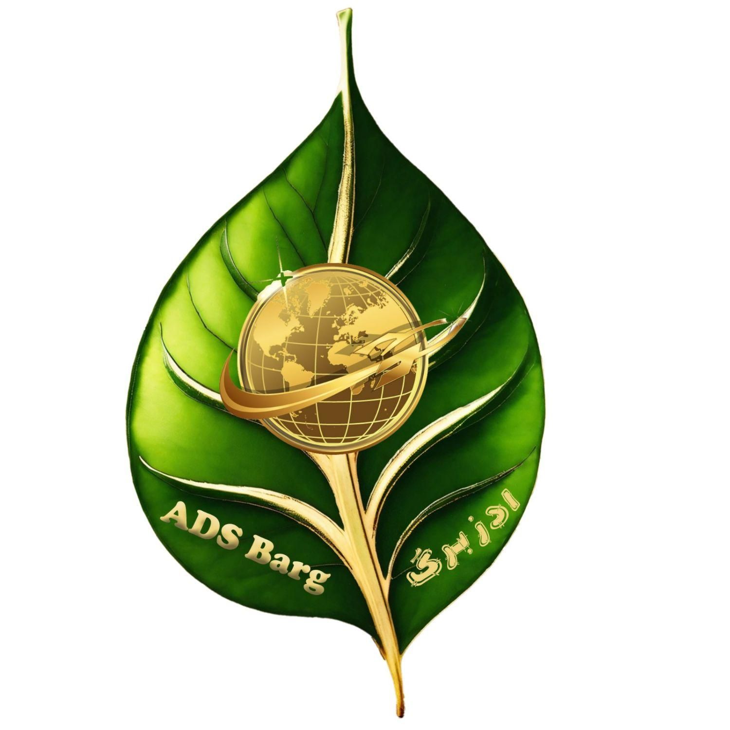 استخدام طراح سایت و سئو|استخدام رایانه و فناوری اطلاعات|تهران, امام حسین(ع)|دیوار