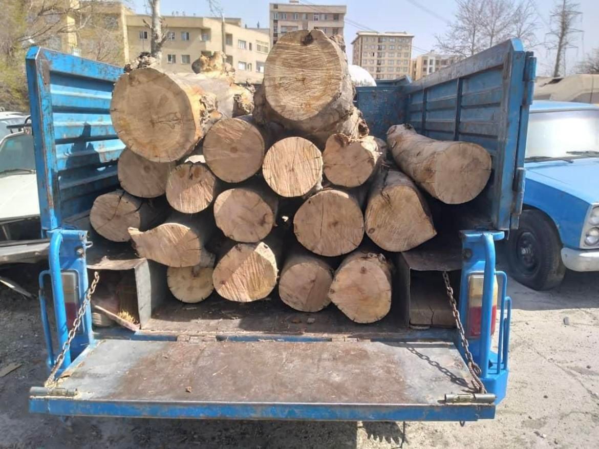 خرید چوب به قیمت مناسب و برشکاری|خدمات باغبانی و درختکاری|تهران, جمهوری|دیوار