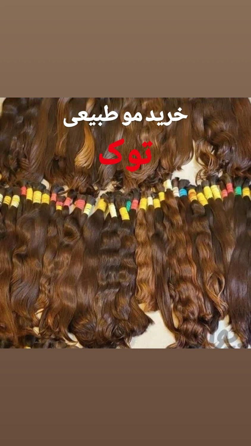 خریدمو خریدار صادر کننده مو|خدمات آرایشگری و زیبایی|زنجان, |دیوار