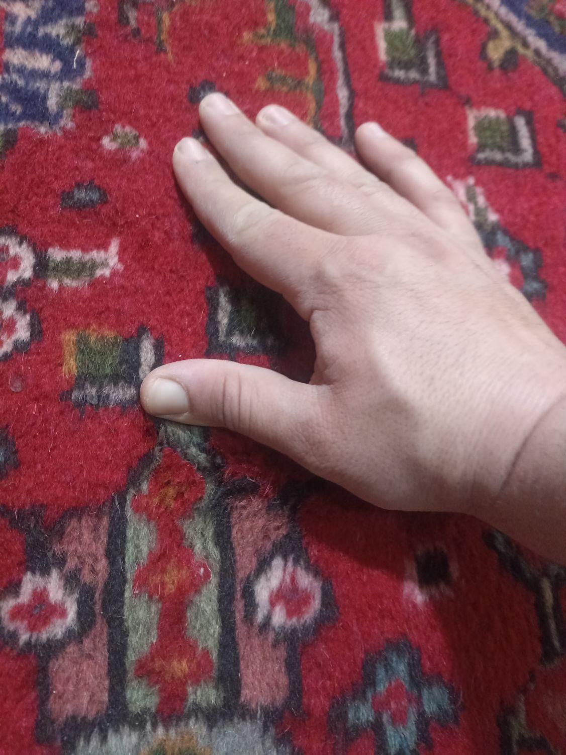 نقشه وطرح خاص دسباف قبا اندازه1.65در2.55|فرش|خوی, |دیوار