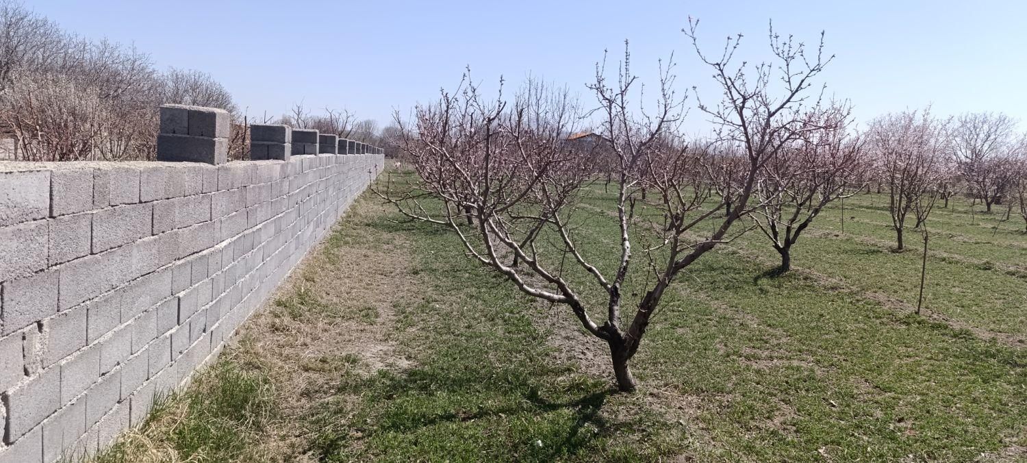 باغچه واقع در روستای قره گوز ایل|فروش خانه و ویلا|ارومیه, |دیوار