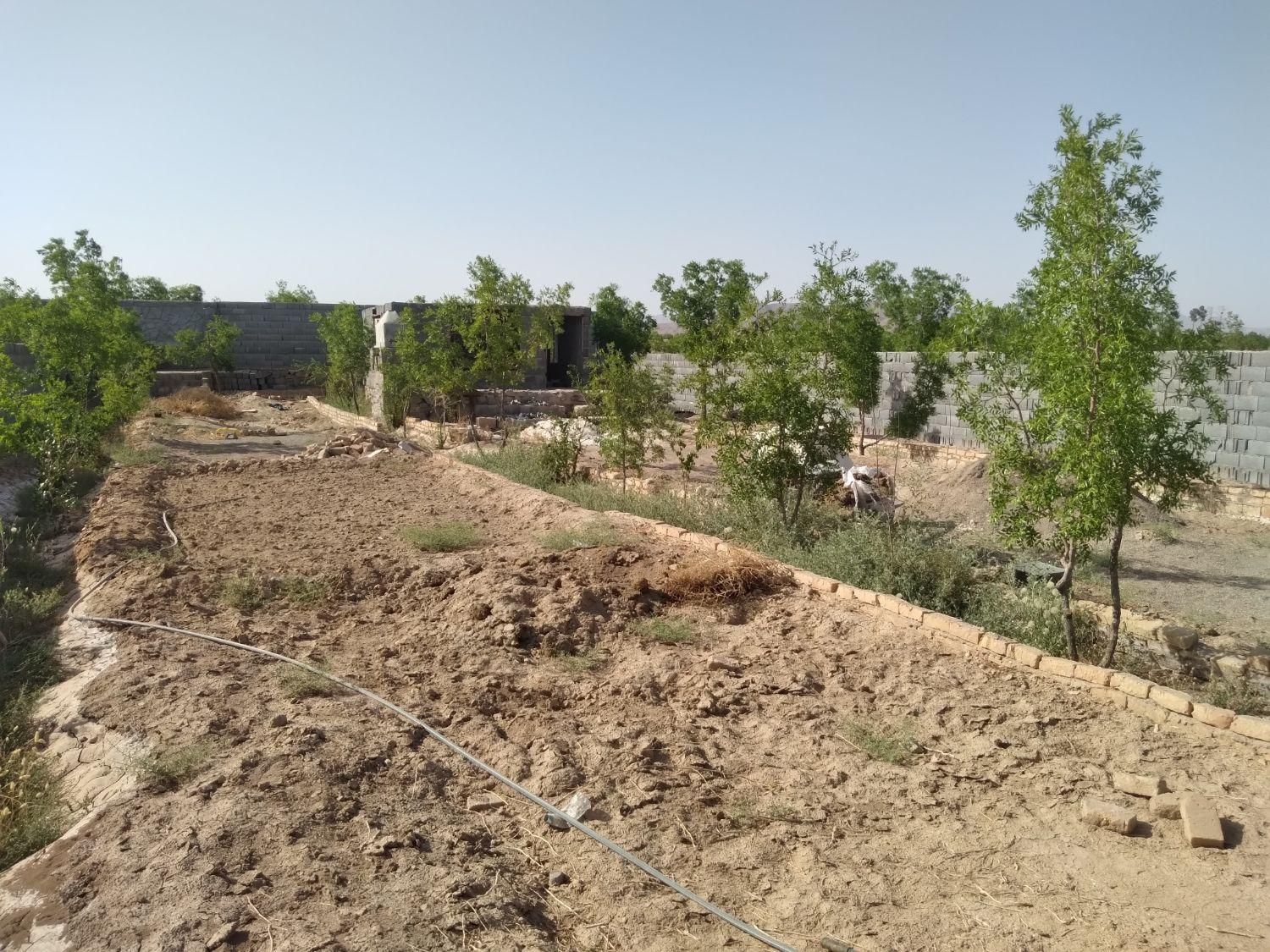 تصویر 15