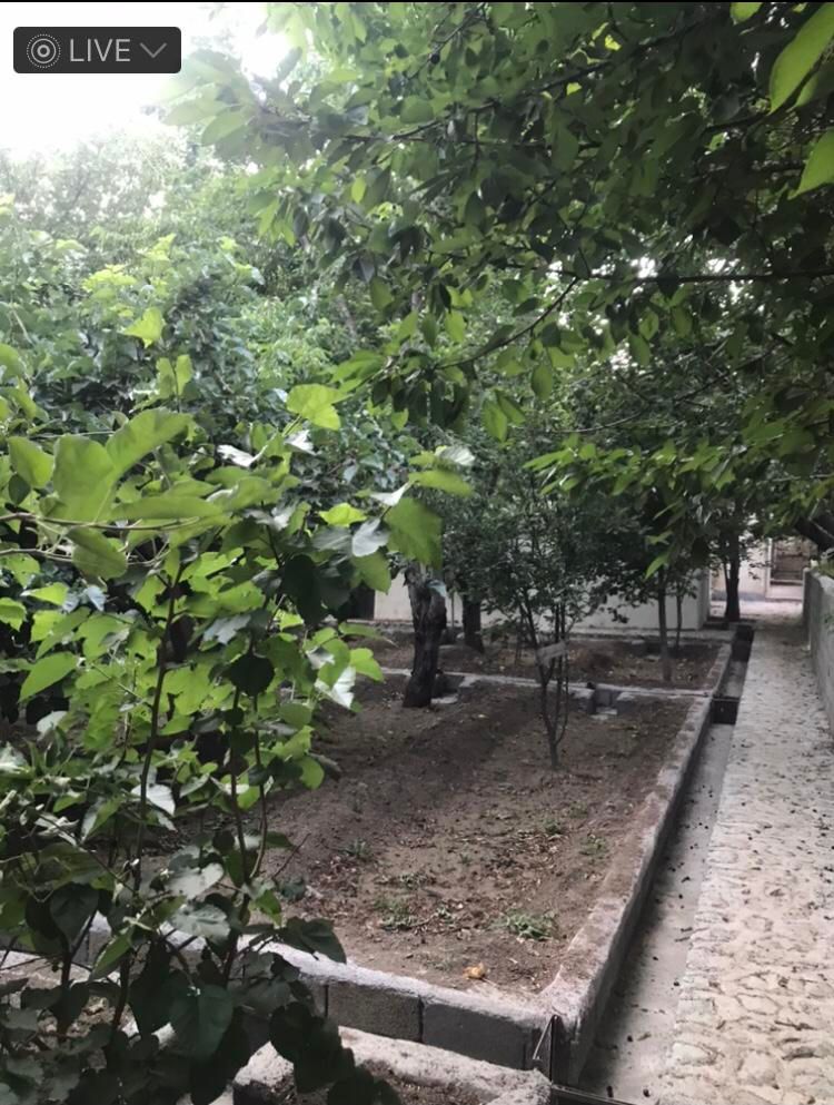باغچه 655متری واقع در روستای سنگان|فروش خانه و ویلا|تهران, شهران شمالی|دیوار