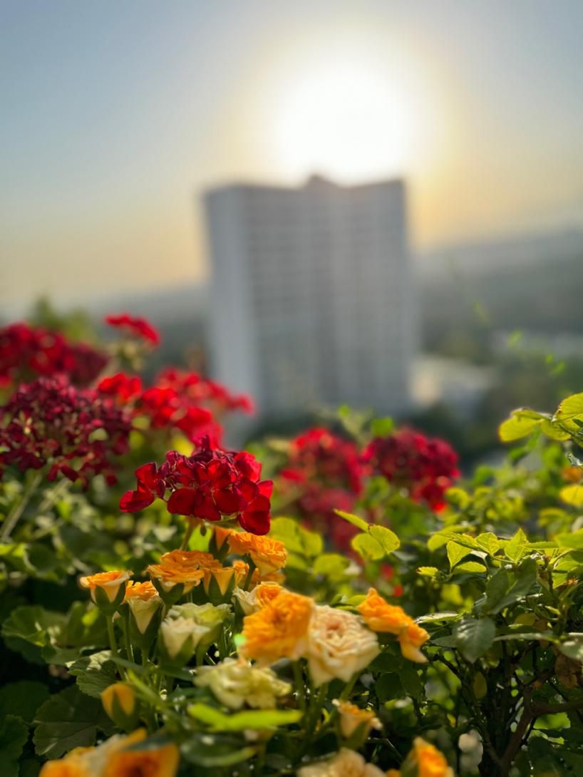 شهرک‌امید / ۱۵۸متر۳خواب / باپارکینگ زیر فول|فروش آپارتمان|تهران, شهرک امید|دیوار