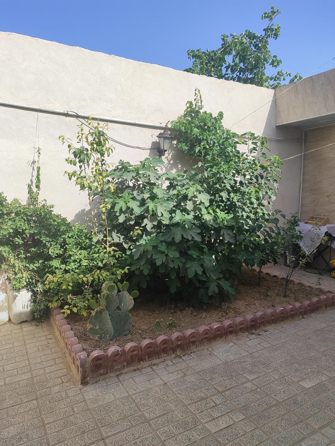خانه‌ویلایی‌درتهران‌منطقه20 فاصله تاامام علی فقط8k|فروش خانه و ویلا|تهران, ظهیرآباد|دیوار