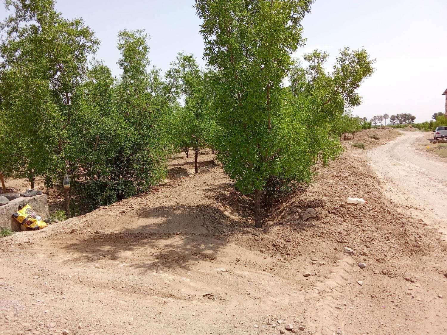 تصویر 4