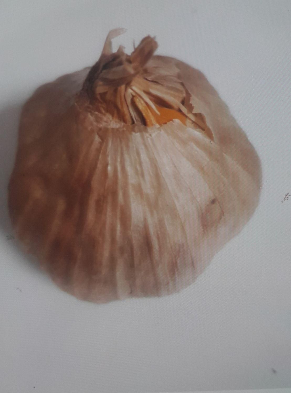 سیر سیاه درجه یک|خوردنی و آشامیدنی|تهران, آبشار|دیوار