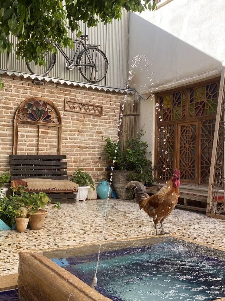 خونه سنتی|اجارهٔ کوتاه‌مدت ویلا و باغ|شیراز, شاهچراغ|دیوار